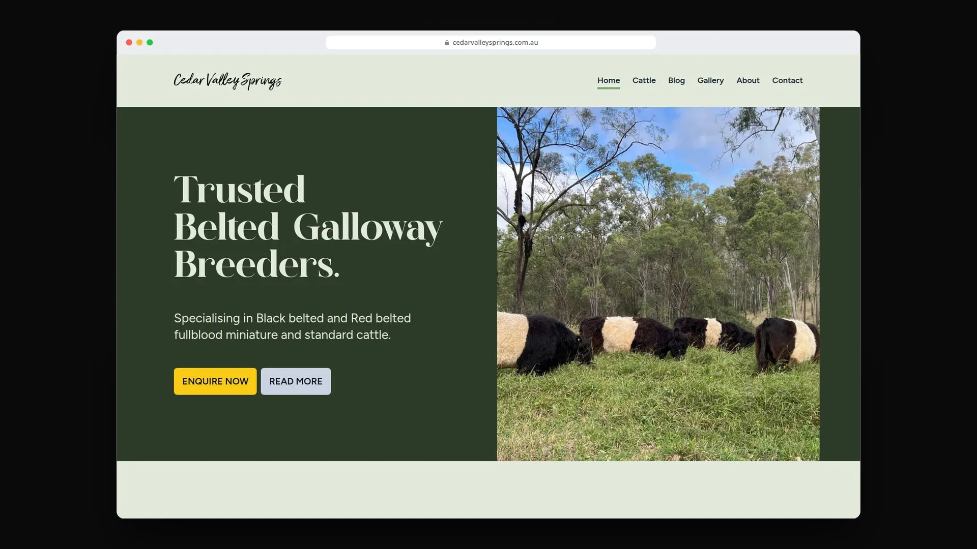 Cedar Valley Springs's website in a browser window.