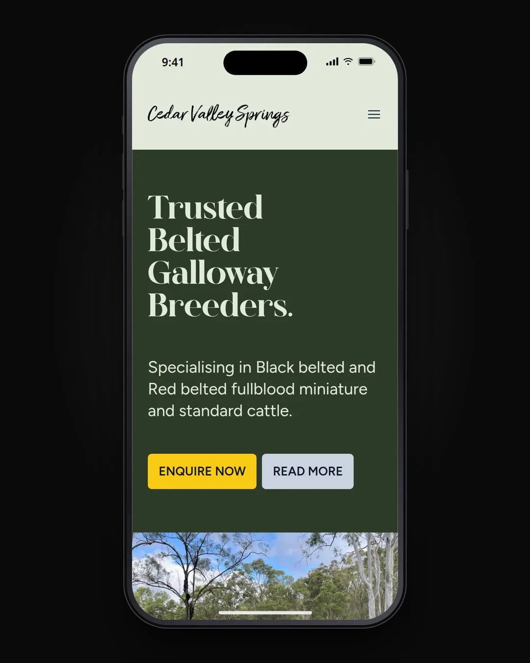 Cedar Valley Springs's website on a phone.